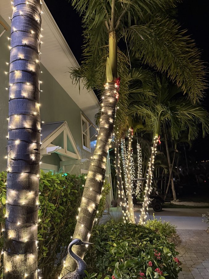 Illuminated palm trunks beside a mint-green coastal home
