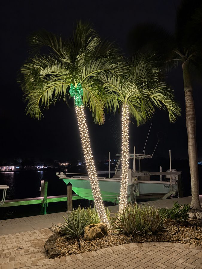 Same dock palms at night, fully illuminated with warm white lights