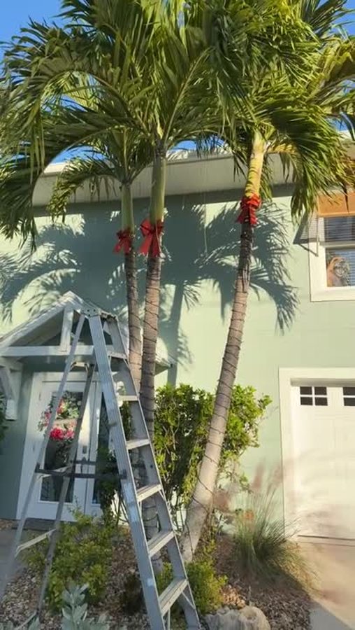 Three palm trunks finished with red holiday bows