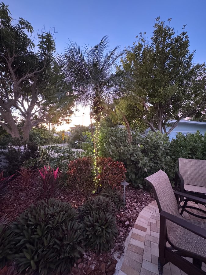 Landscape lighting along a garden hedge at dusk