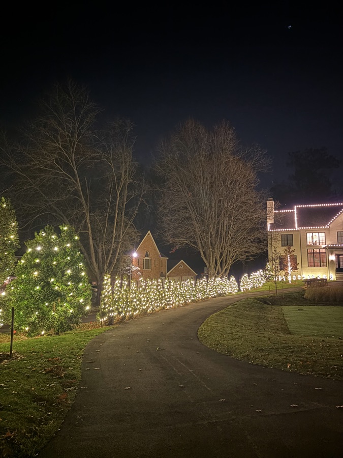 Long driveway lined with trees wrapped in warm white lights