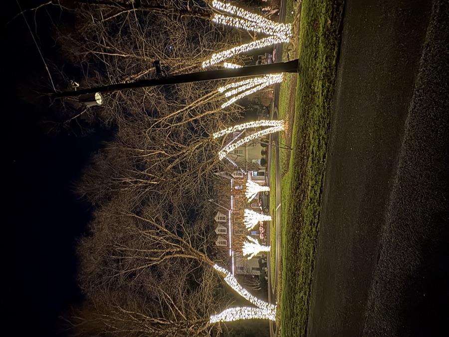 Grand estate framed by two tall trees fully wrapped in warm white lights