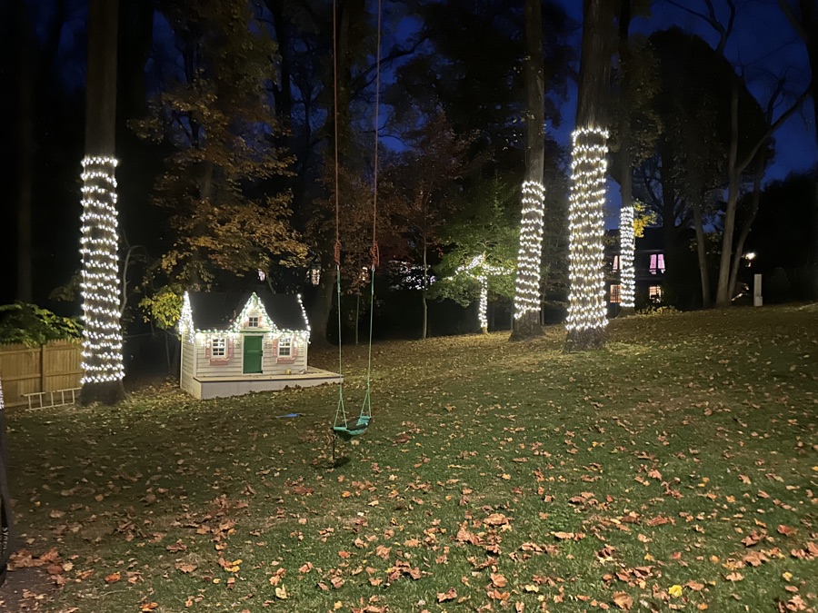 Children's playhouse and two tall trees wrapped in lights in a backyard play area