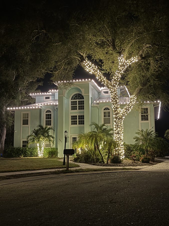 Coastal estate with a fully illuminated oak canopy