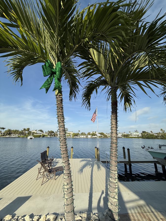 Illuminated palms along a private dock at dusk